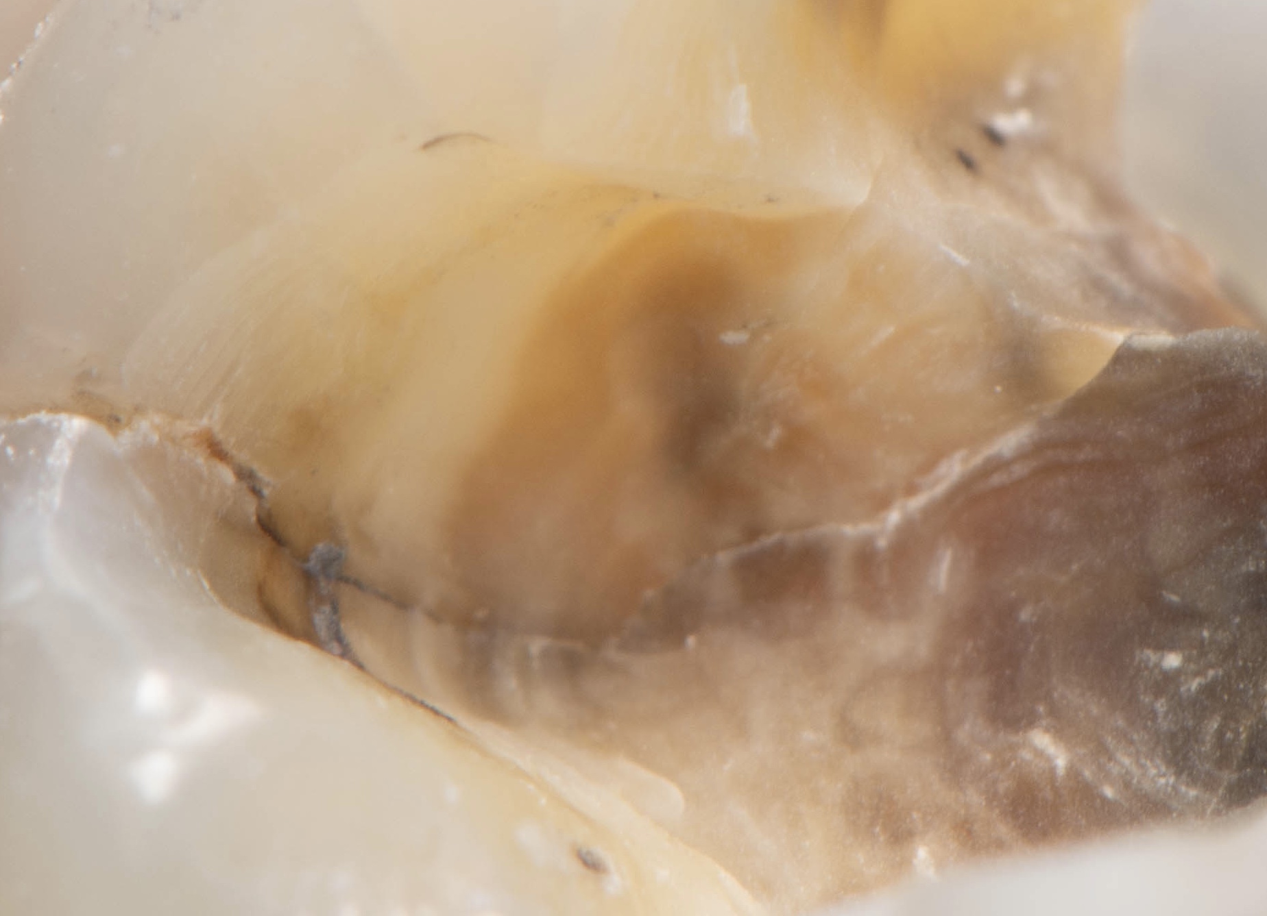 Crack visible under magnification